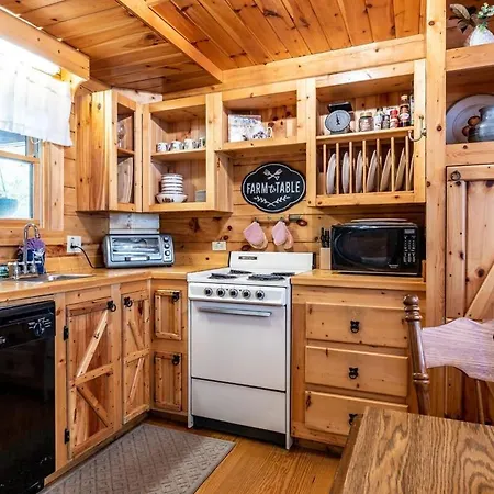 Villa Quaint & Secluded Near Dollywood With Bbq&Hot Tub Pigeon Forge Exterior foto